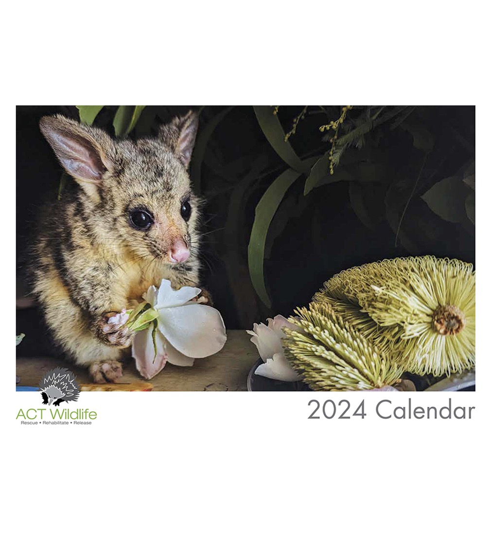 Mista PR + ACT Wildlife 2024 Calendar