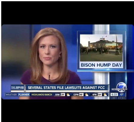 Bison Hump Day :-)